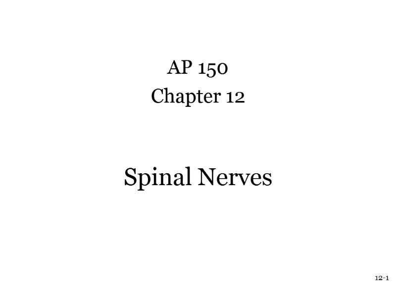 12-1  Spinal Nerves AP 150 Chapter 12